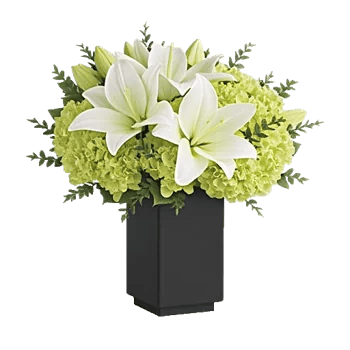 Ivory Blossom Radiance