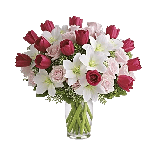 Petal Radiance Bliss