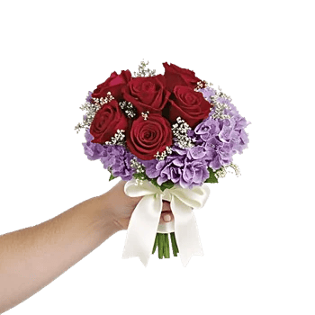 Crimson Rose Elegance