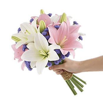 Graceful Lily Display