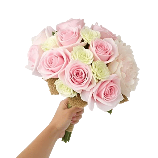 Pastel Pink Roses