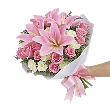 Blushing Rose Symphony