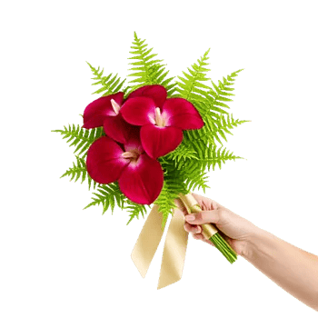 Deep Red Foliage