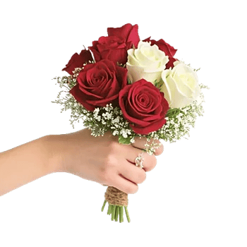 Crimson Rose Elegance