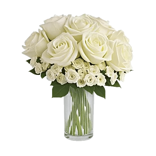 Ivory Blossom Radiance