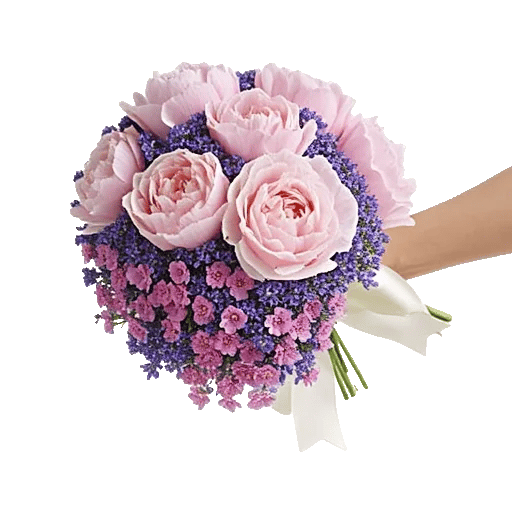 Peony Petal Harmony