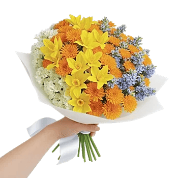 Blossom Harmony Display