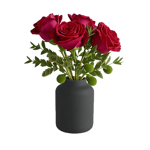 Crimson Blossom Harmony