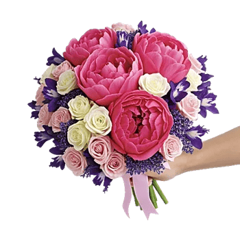 Peony Petal Harmony