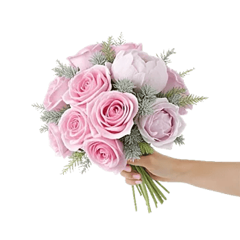 Pastel Pink Roses