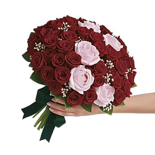 Crimson Rose Elegance