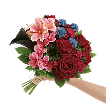 Elegant Calla Lilies