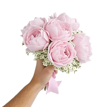 Peony Petal Harmony