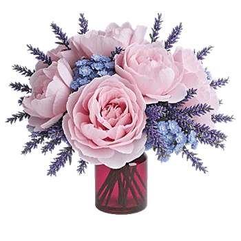 Petal Radiance Bliss
