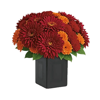 Crimson Blossom Harmony