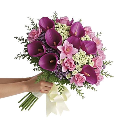 Elegant Calla Lilies
