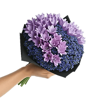 Pastel Blossom Grace