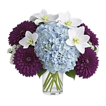 Orchid Bloom Cascade