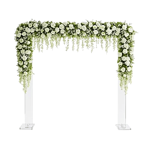 Ivory Blossom Radiance