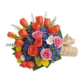 Coral Blossom Harmony