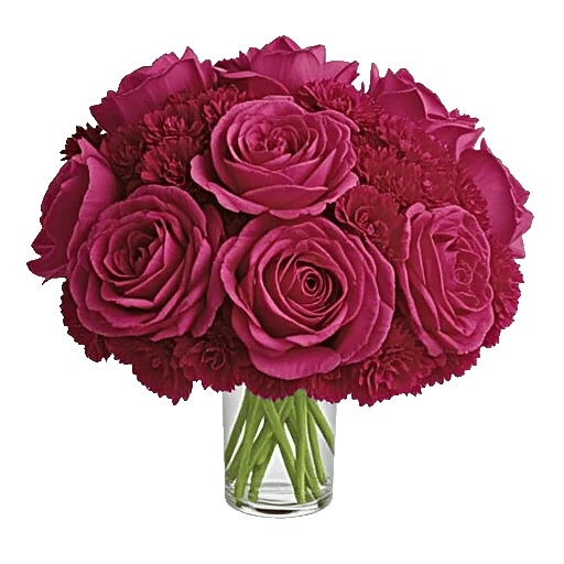 Petal Radiance Bliss
