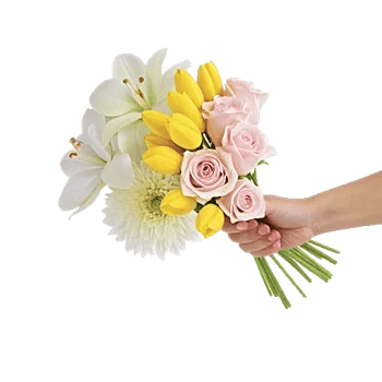 Minimalist White Orchids