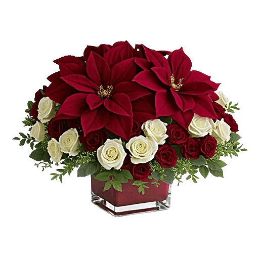 Petal Radiance Bliss