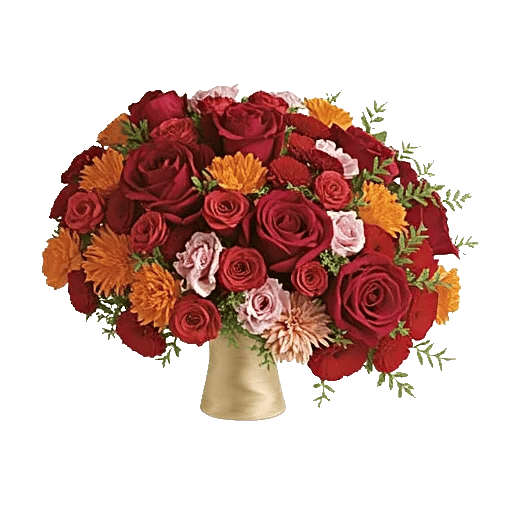 Crimson Rose Elegance