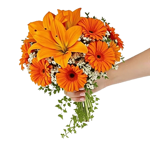 Petal Harmony Bliss