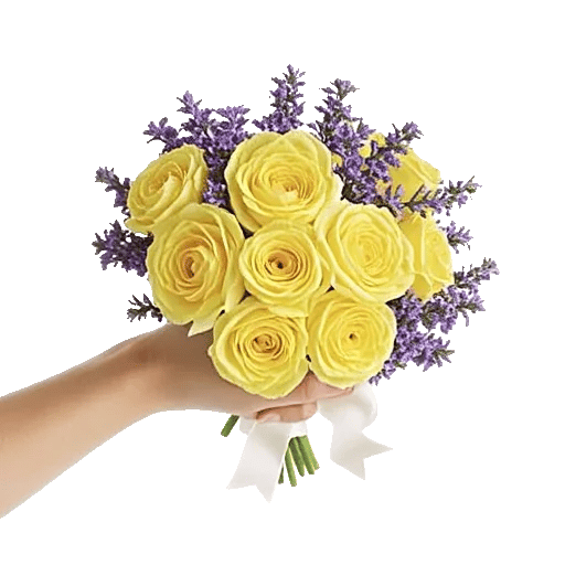 Delicate Petal Cascade