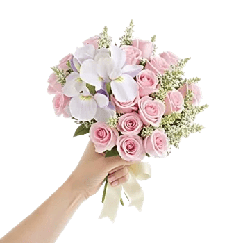Ivory Garden Grace