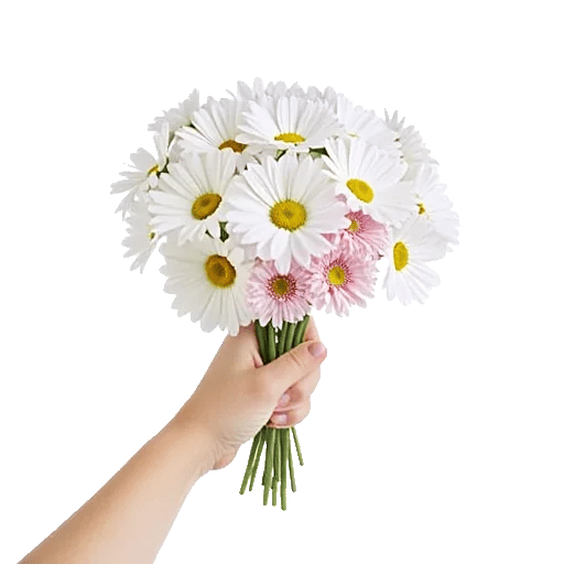 Coral Blossom Harmony