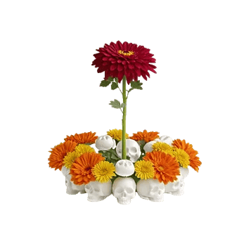 Modern White Orchids