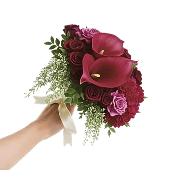 Elegant Calla Lilies