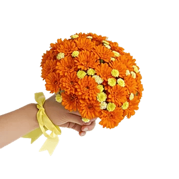 Vibrant Orange Delight