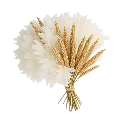 Daisy Meadow Spread
