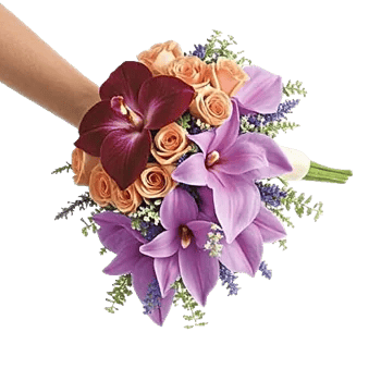 Orchid Bloom Cascade