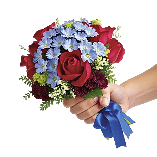 Blossom Petal Serenity