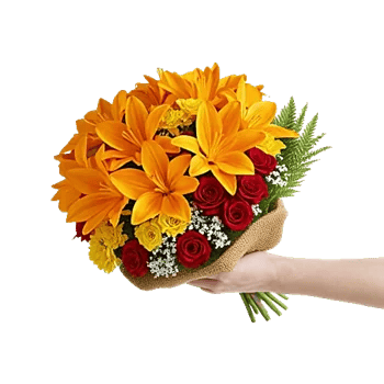 Vibrant Orange Delight