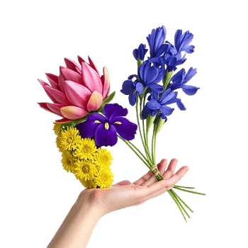 Ivory Blossom Radiance