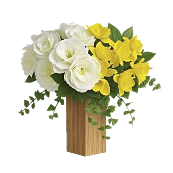 Ivory Blossom Radiance
