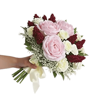 Peony Petal Harmony