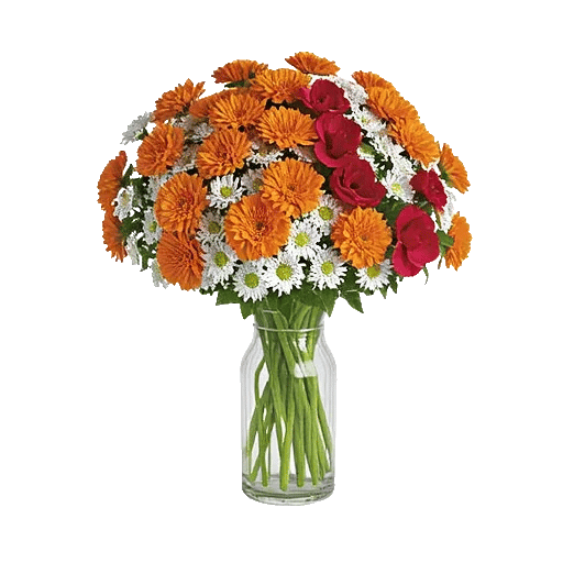 Vibrant Orange Delight