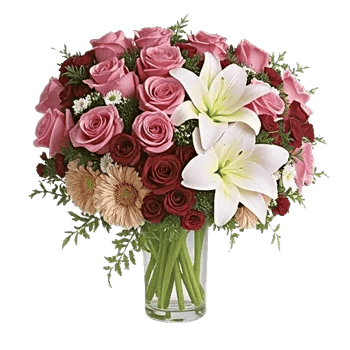 Blushing Rose Symphony