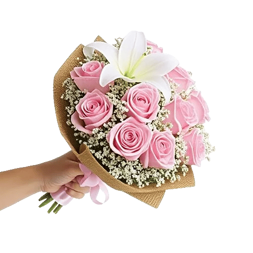 Blushing Rose Symphony