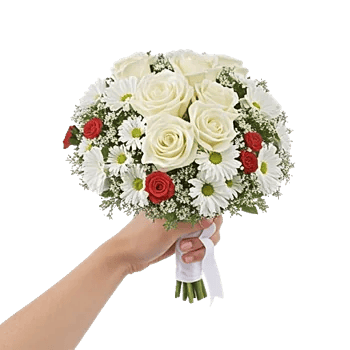 Blushing Rose Symphony