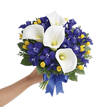 Elegant Calla Lilies