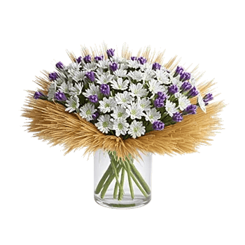 Lavender Bloom Grace