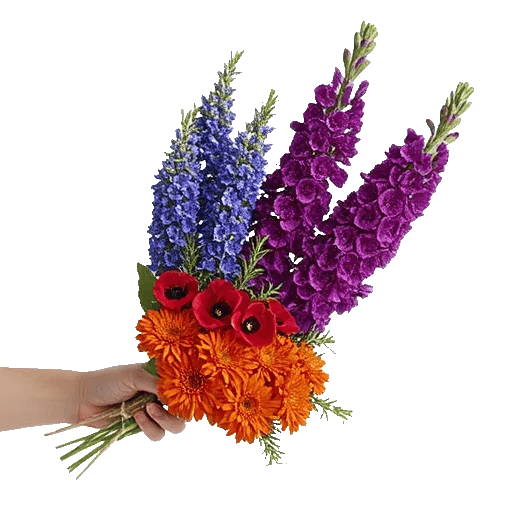 Rosemary Bloom Elegance