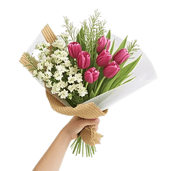 Blossom Harmony Display